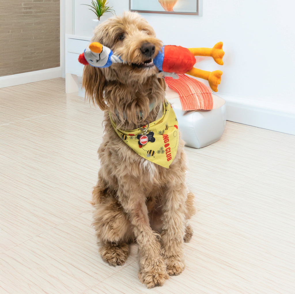 KONG Boosts Ostrich Dog Toy