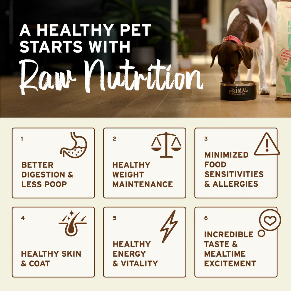 Primal Frozen Raw Nuggets – Chicken