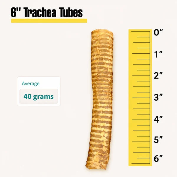 Beef Trachea Tube 6" – Single