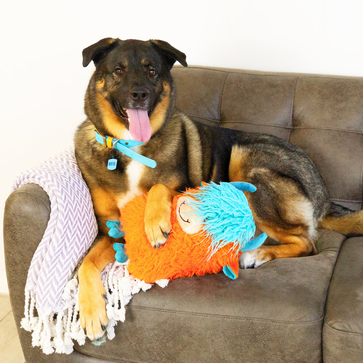 German Shepherd dog playing with orange shaggy plush dog toy on couch