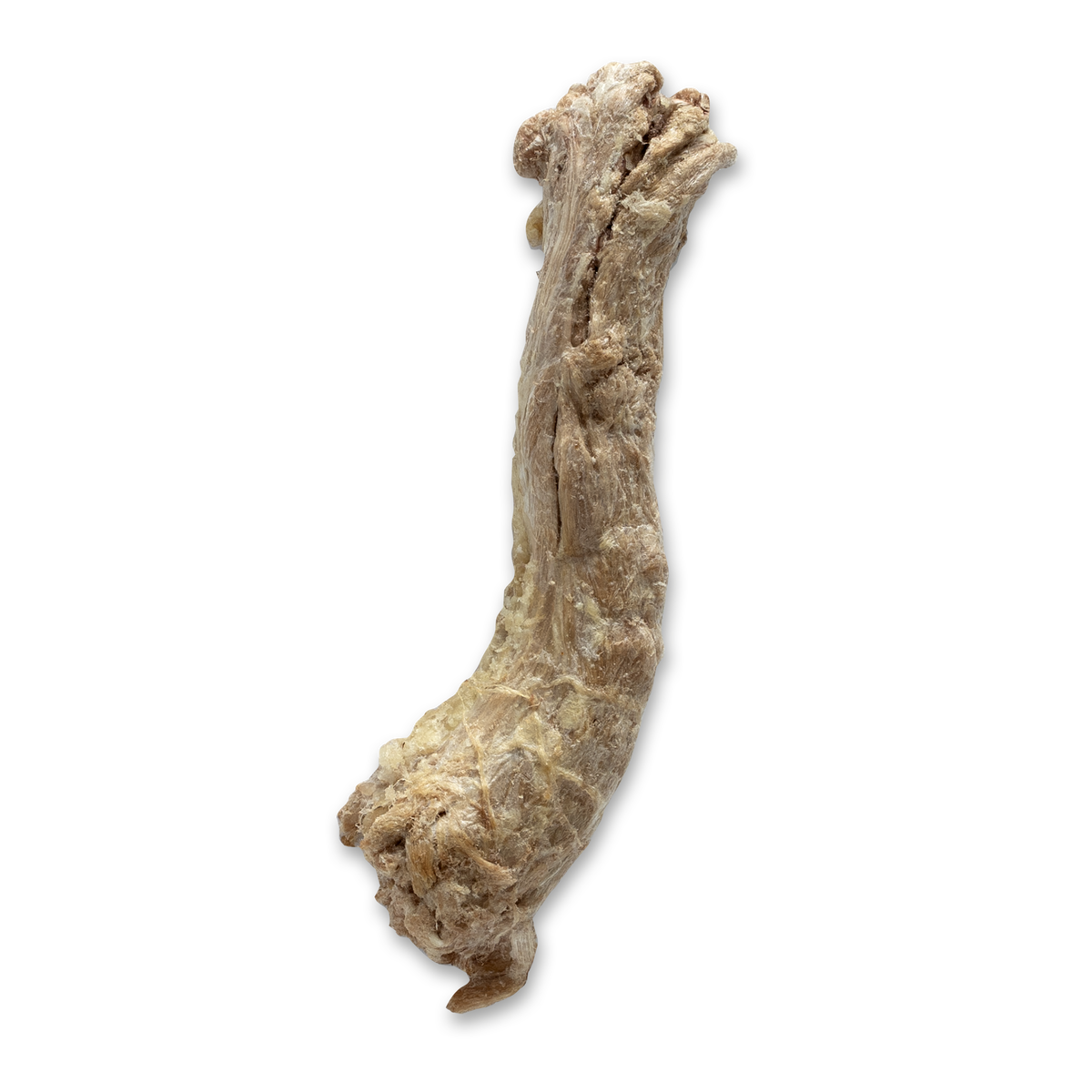 Bones and Co duck neck single ingredient natural dog chew