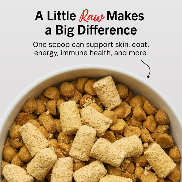 Stella & Chewy's Freeze-Dried Raw Meal Mixers Perfectly Puppy Beef & Salmon Recipe