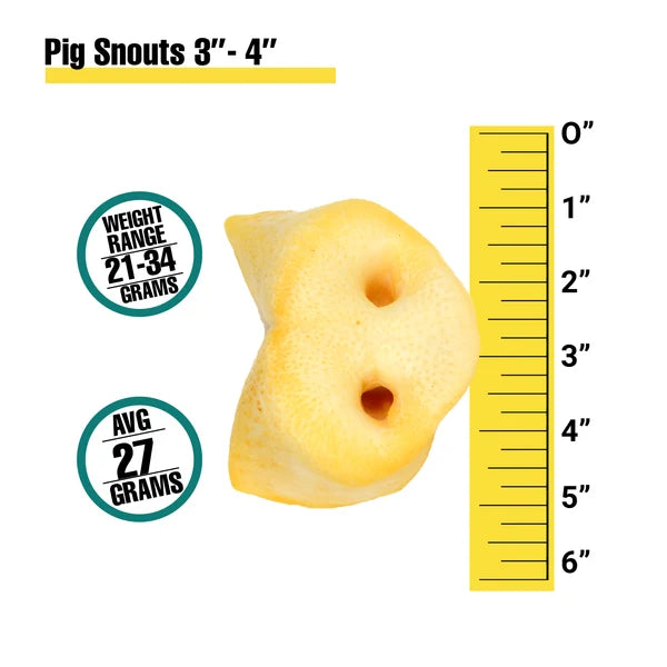 Pig Snout – Single