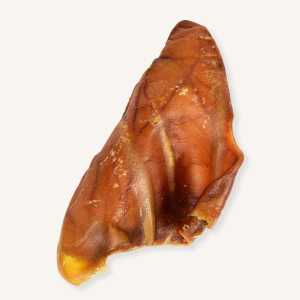 Natural pig ear dog chew