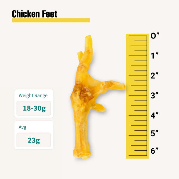 Chicken feet dog chew with size ruler showing up to 6 inches