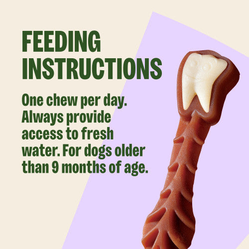 Wellness Whimzees Brushzees Natural Dental Treats for Dogs