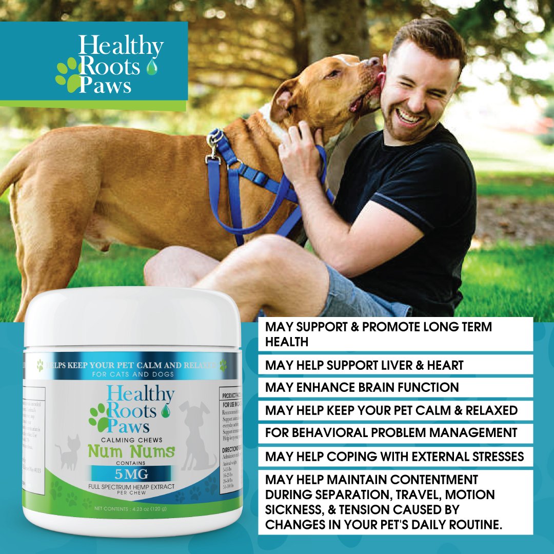 Healthy Roots Paws Num Nums Calming Chews for Cats and Dogs, 4.23 oz